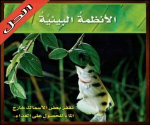 حل كتاب العلوم رابع ابتدائي الفصل الدراسي الاول